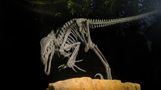 Umělecký kovář Ondřej Klír a jeho tvorba - dinosauři