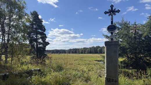 Prostor bývalého rybníku je obrovský. Z velké části se jedná o rašeliniště