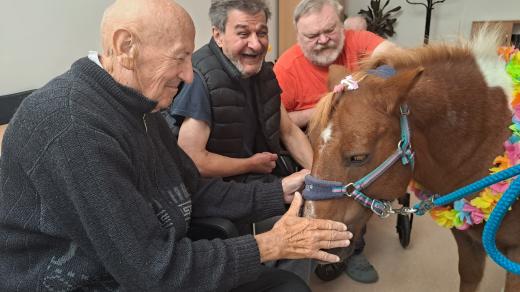 Ponyterapie v ostravském domově Slunovrat