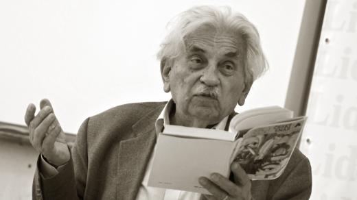 Ludvík Vaculík: Český snář