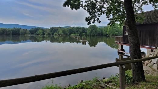 Velký rybník u Černé Vody je největším rybníkem na Jesenicku