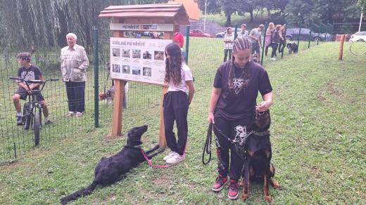 d5de84d1-0019-4140-8605-d5ae41e2d9a3.jpeg