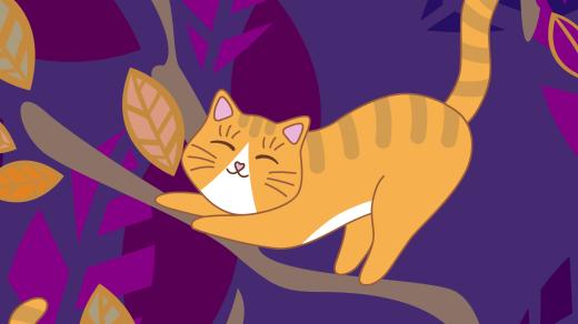 Tenhle kocourek není jen tak obyčejný