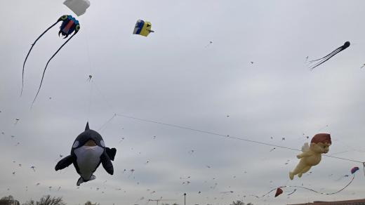 Drak musí být lehký a zároveň pevný, jinak se kreativitě meze nekladou