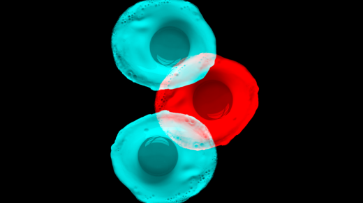 Série Kellner: Zlaté vejce