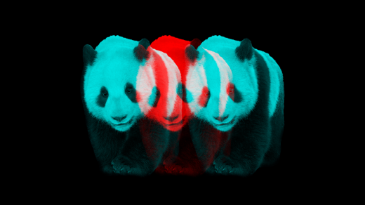 Série Kellner: Velká čínská zeď