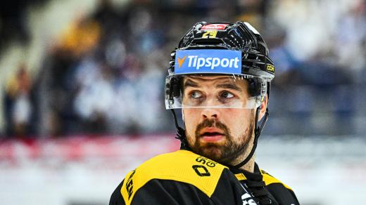 Zklamaný litvínovský útočník Axel Holmström