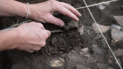 Archeologové objevili nedaleko hory Říp u obce Dušníky vzácnou pravěkou mohylu. Střepy keramiky kultury zvoncovitých pohárů.
