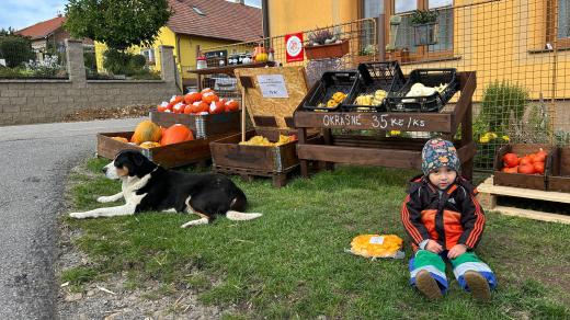 Samoobslužná farmářská prodejna