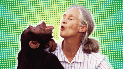 Jane Goodall