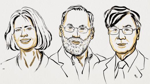 Nobelovu cenu za fyziologii a lékařství letos získali Mary E. Brunkowová, Fred Ramsdell a Šimon Sakaguči za jejich objevy v oblasti imunologie