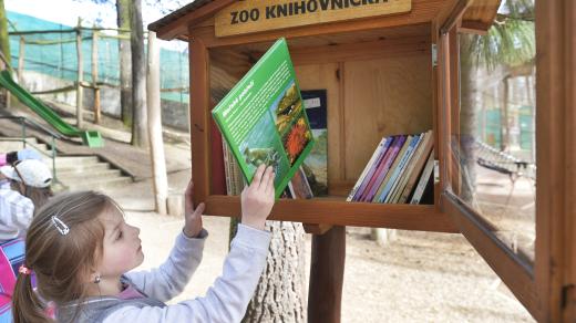 Knihobudka, dítě, dívka, Zoo Plzeň