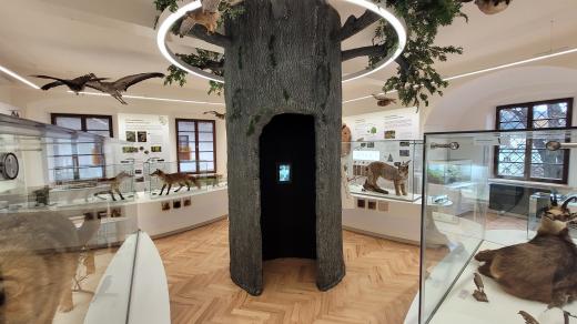 Nová přírodovědná expozice Vlastivědného muzea Jesenicka