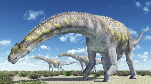 Argentinosaurus měřil 40 metrů a vážil kolem 100 tun