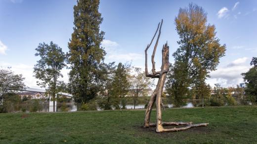 Praying Wood, Kristof Kintera