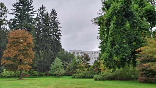Park u jablunkovského sanatoria