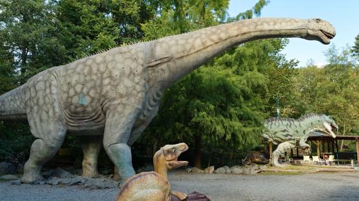 Argentinosaurus je největším dosud známým druhem dinosaura. Vážil přibližně 85 tun. Za tímto prehistorickým vegetariánem je masožravý Giganotosaurus