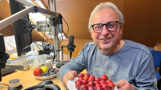 František Hlubocký přinesl na ukázku zdravé plody hlohu peřenoklaného