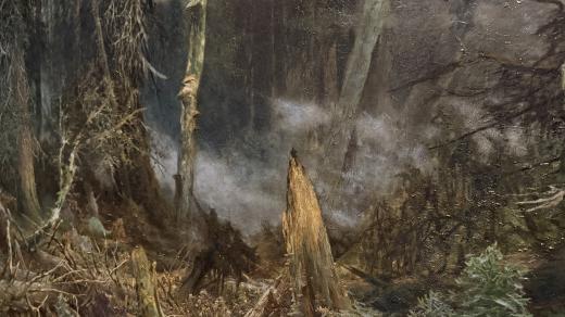 Obraz Šumavský prales za bouře má temnou a chmurnou atmosféru