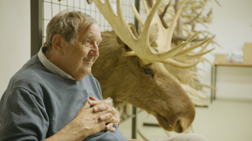 AMOOSED: losí odysea | Andera s losí hlavou