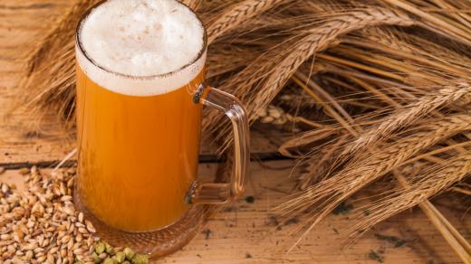Kvasnicové pivo