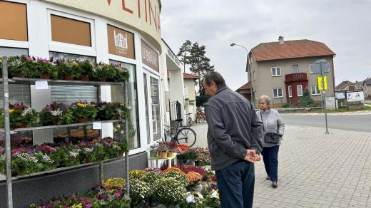Kůrovec zkomplikoval vazbu dušičkových věnců na střední Moravě
