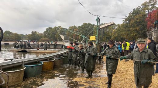 Mezi rybáři jsou jak starší lidé, kteří už loví rybník třeba podvacáté, tak studenti, kteří jsou na takhle velkém výlovu poprvé