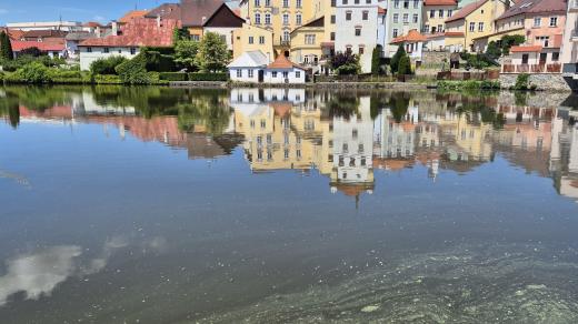 V Jindřichově Hradci se snaží omezit znečištění rybníka Vajgar