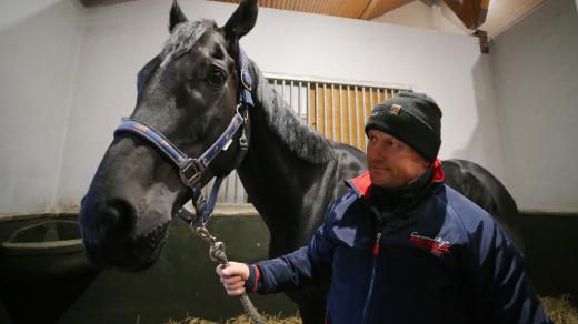 Loňský vítěz Velké pardubické Godfrey letos závod nepojede
