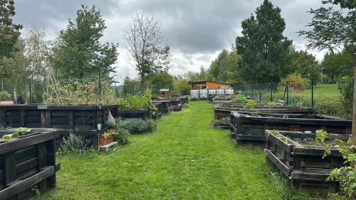 Listí v zahradě už je shrabané