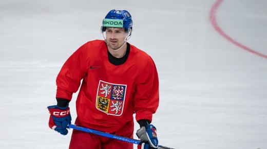 Český hokejový útočník Jakub Flek