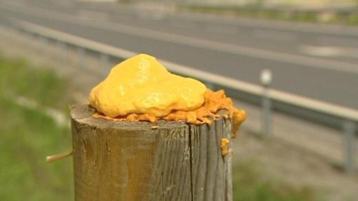 Pachové ohradníky podél silnic