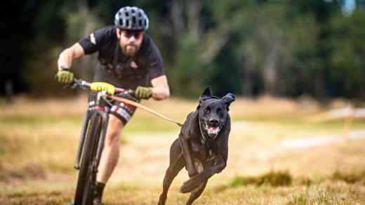Michal Ženíšek se psem na koloběžce