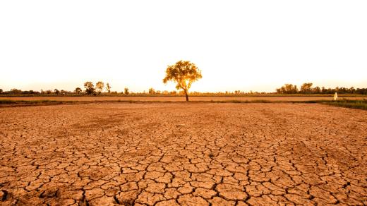 Sucho (ilustrační foto)