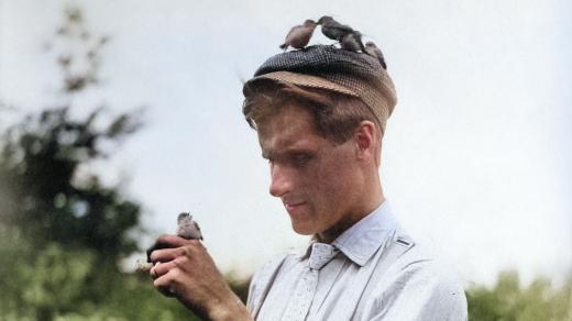 Ptactvo nezná hranic (1908, digitálně kolorováno)