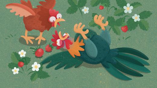 Slepička musí zachránit líného kohoutka