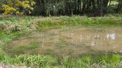 Ochránci přírody vytvořili v přírodním parku Velkopopovicko dvanáct tůní