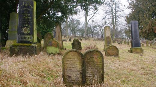 Židovský hřbitov najdeme na druhé straně Loštic, je však starší než synagoga