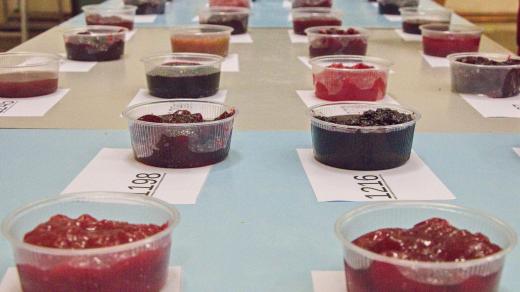 Na 13. ročník Kunratické JamParády je přihlášených rekordních 706 vzorků marmelád