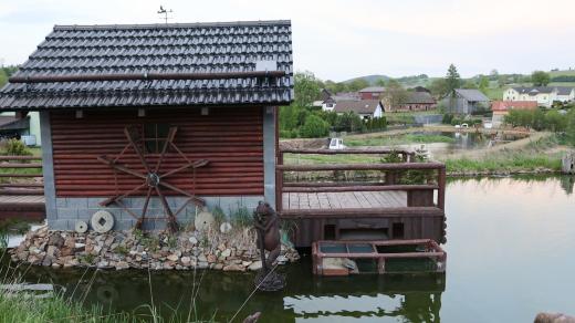 Na farmě Václava Krafta v Nové Vsi u Kdyně