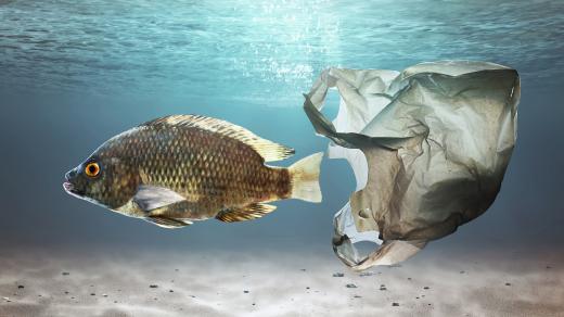 Bude v oceánech více plastů než ryb?