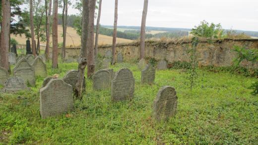 Židovský hřbitov Telice