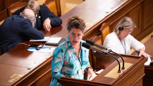 Berenika Peštová při jednání Poslanecké sněmovny ČR