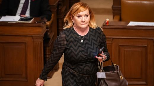 Alena Schillerová (hnutí ANO) ve Sněmovně