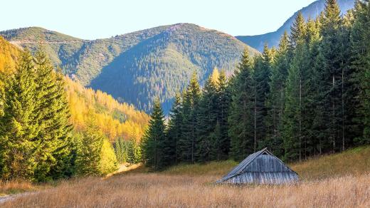 Hory (ilustrační foto)