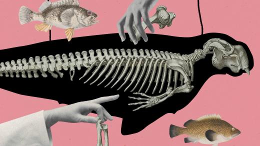 Iida Turpeinenová: Poslední siréna