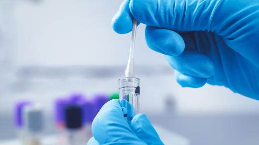 Genetický test