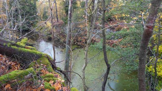 Jezírko, kterému místní říkají „Stometrové“