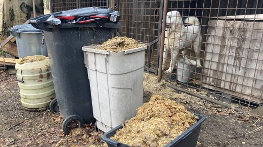 V okolí kotců jsou nádoby plné exkrementů