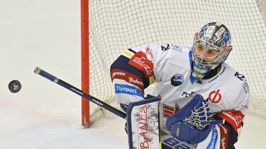 Brankář Jan Strmeň